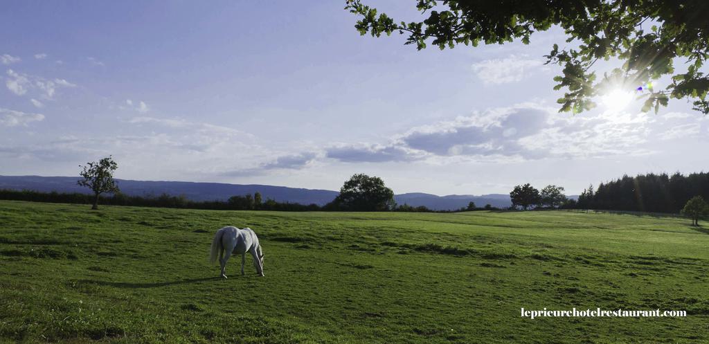 Отель Domaine Le Prieure Chaumont-le-Bourg Экстерьер фото